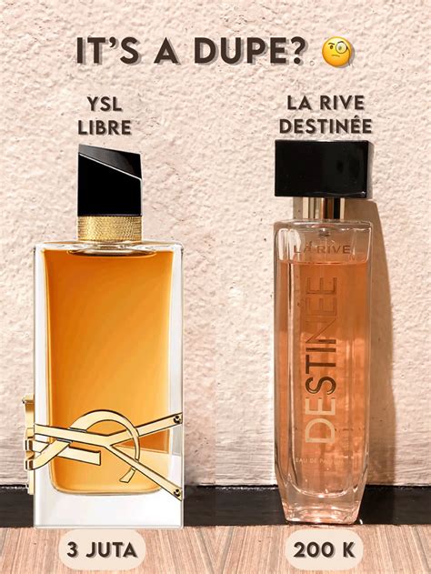 ysl libre dupe action|divain's libre dupe.